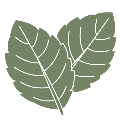 Helen Ridgeway Favicon