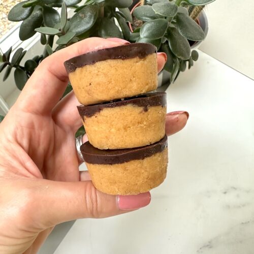 protein bars