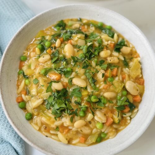 spring minestrone soup