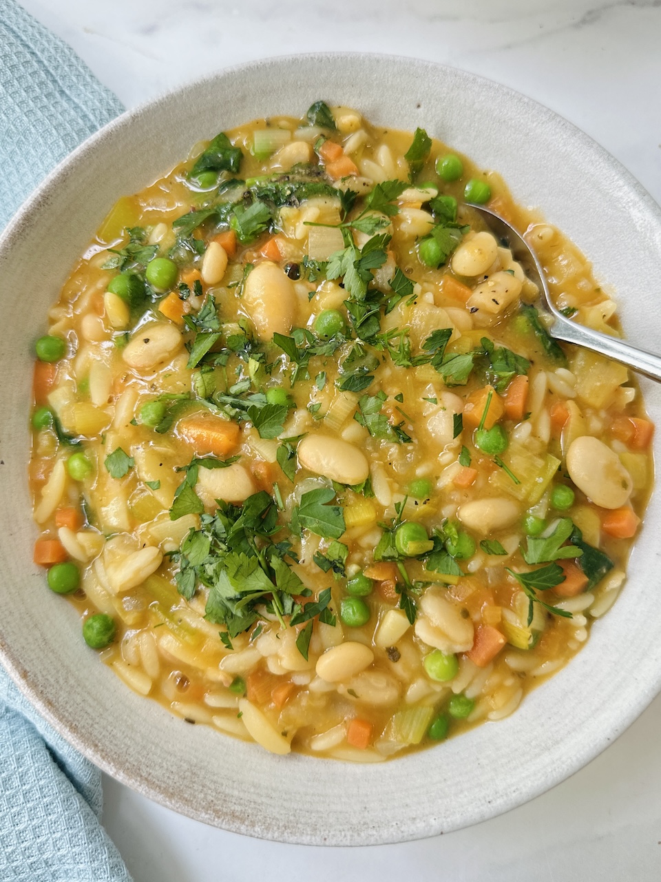 spring minestrone soup